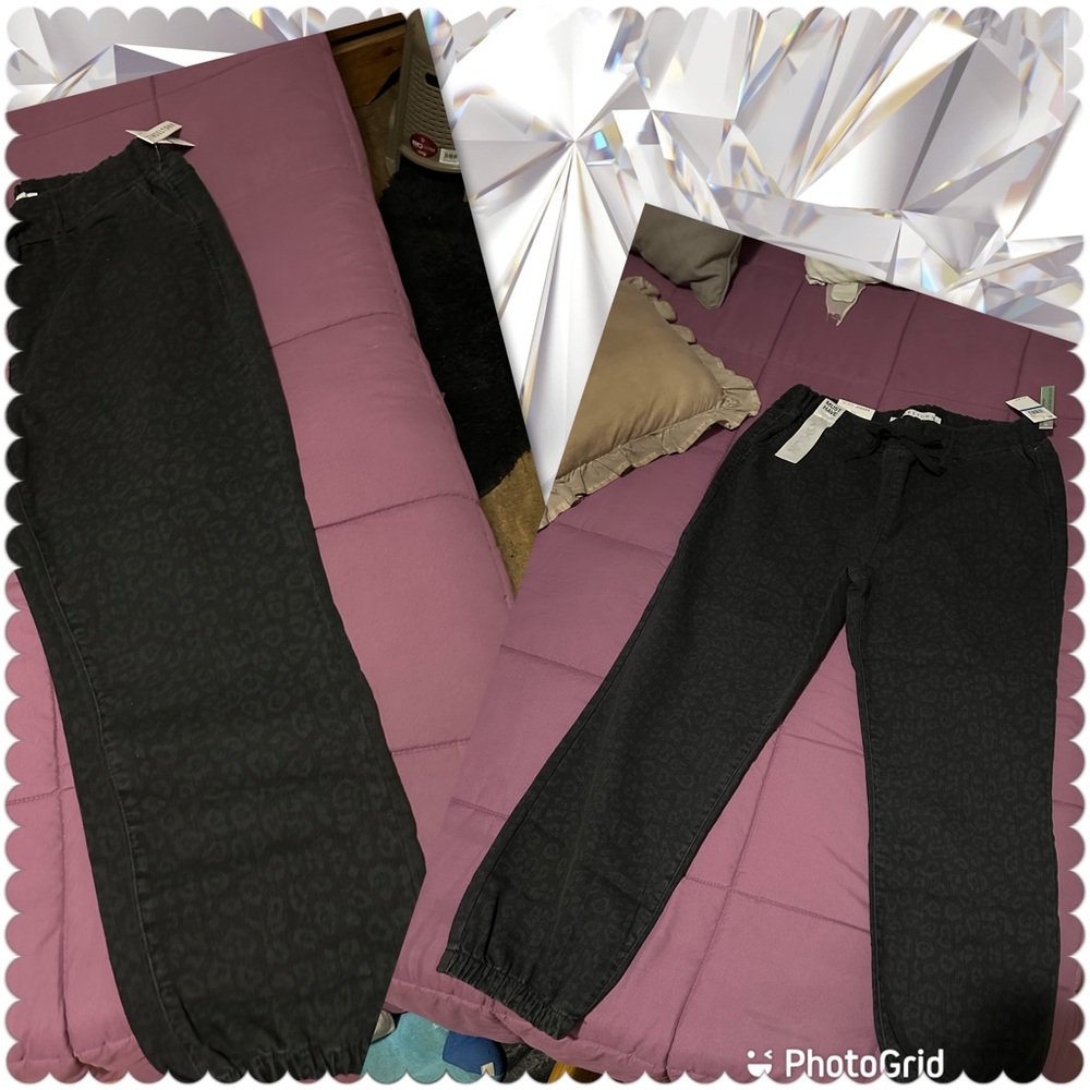 Hi Rise Jogger ( New)